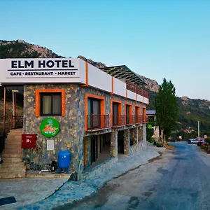 Elm , Fethiye Turkey